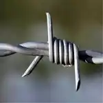 عکس شماره 130456 %D8%A2%D9%87%D9%86-%D8%A8%DB%8C%D8%B2%DB%8C%D9%86%D8%B3