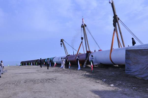 عکس شماره 1103 %D8%AF%D8%B3%D8%AA-%D8%A8%D9%87-%D8%AF%D8%A7%D9%85%D8%A7%D9%86-%D8%AF%D8%B1%DB%8C%D8%A7