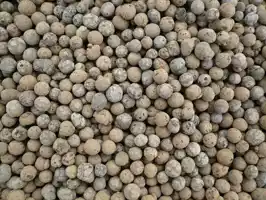 عکس شماره 15551 %D9%BE%D9%88%DA%A9%D9%87-%D9%85%D8%B9%D8%AF%D9%86%DB%8C