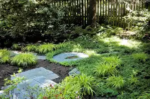 عکس شماره 17639 %D9%81%D8%B6%D8%A7%DB%8C-%D8%B3%D8%A8%D8%B2-%D8%AF%D8%B1-%D9%86%D9%82%D8%A7%D8%B7-%D8%A8%DB%8C-%D8%A7%D8%B3%D8%AA%D9%81%D8%A7%D8%AF%D9%87-%D8%B4%D9%87%D8%B1%DB%8C