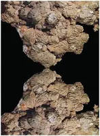 ملات سبک و ضد حریق