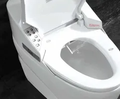  توالت فرنگی بیده چیست؟ 