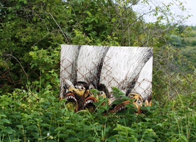 عکس شماره 1871 %DA%A9%D8%A7%D8%AF%D8%A7%D8%B3%D8%AA%D8%B1-%D8%B4%D8%A7%D9%87-%DA%A9%D9%84%DB%8C%D8%AF-%D9%85%D8%A8%D8%A7%D8%B1%D8%B2%D9%87-%D8%A8%D8%A7-%D8%B2%D9%85%DB%8C%D9%86-%D8%AE%D9%88%D8%A7%D8%B1%DB%8C