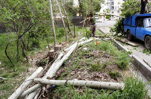 عکس شماره 1891 %D9%82%D8%AA%D9%84-%D8%B9%D8%A7%D9%85-%D8%AF%D8%B1%D8%AE%D8%AA%D8%A7%D9%86-%D8%AF%D8%B1-%D9%81%D8%B1%D9%85%D8%A7%D9%86%DB%8C%D9%87-%D8%AA%D9%87%D8%B1%D8%A7%D9%86