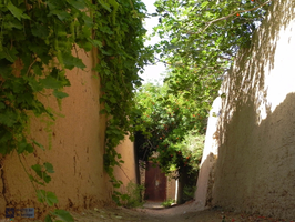 عکس شماره 2257 %D9%81%D8%A7%D8%AA%D8%AD%D9%87-%D8%A8%D8%A7%D8%BA-%D9%87%D8%A7%DB%8C-%D8%AA%D9%87%D8%B1%D8%A7%D9%86-%D8%B1%D8%A7-%D8%A8%D8%AE%D9%88%D8%A7%D9%86%DB%8C%D8%AF