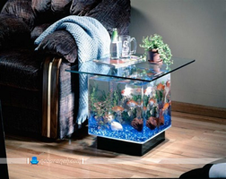 عکس شماره 4007 %DA%A9%D8%A7%D9%87%D8%B4-%D8%A7%D8%B3%D8%AA%D8%B1%D8%B3-%D8%A8%D8%A7-%D8%AF%D8%B1%DB%8C%D8%A7%DA%86%D9%87-%D8%B4%DB%8C%D8%B4%D9%87-%D8%A7%DB%8C