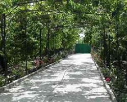 عکس شماره 4223 %D8%B3%D8%A7%D8%AE%D8%AA-%D8%A8%D8%A7%D8%BA-%D9%88%DB%8C%D9%84%D8%A7-%D9%85%D9%85%D9%86%D9%88%D8%B9-%D8%B4%D8%AF