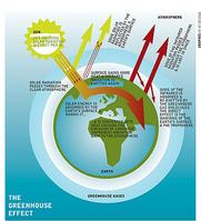 عکس شماره 4356 %D8%A8%D8%B1%D9%86%D8%A7%D9%85%D9%87-%D8%A7%DB%8C%D8%B1%D8%A7%D9%86-%D8%A8%D8%B1%D8%A7%DB%8C-%DA%A9%D8%A7%D9%87%D8%B4-%D8%A7%D9%86%D8%AA%D8%B4%D8%A7%D8%B1-%DA%AF%D8%A7%D8%B2%D9%87%D8%A7%DB%8C-%DA%AF%D9%84%D8%AE%D8%A7%D9%86%D9%87-%D8%A7%DB%8C