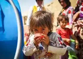 عکس شماره 5714 %D8%B4%DB%8C%D8%B1%D8%A7%D8%B2-%D8%AF%D8%B1-%D9%88%D8%B6%D8%B9%DB%8C%D8%AA-%D9%82%D8%B1%D9%85%D8%B2-%D8%AA%D8%A3%D9%85%DB%8C%D9%86-%D8%A2%D8%A8