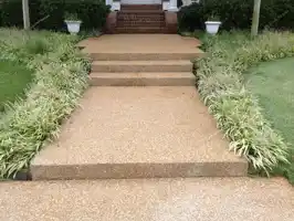 عکس شماره 6861 %D9%88%D8%A7%D8%B4-%D8%A8%D8%AA%D9%86