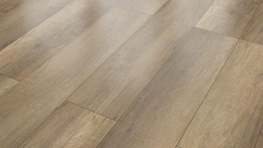 عکس شماره 1088 %D9%88%D8%A7%D8%B1%D8%AF-%DA%A9%D9%86%D9%86%D8%AF%D9%87-%D9%85%D8%AF%D8%B1%D9%86-%D8%AA%D8%B1%DB%8C%D9%86-%D9%88-%D8%A8%D8%A7-%DA%A9%DB%8C%D9%81%DB%8C%D8%AA-%D8%AA%D8%B1%DB%8C%D9%86-%D9%85%D8%AD%D8%B5%D9%88%D9%84%D8%A7%D8%AA-%D8%AF%DA%A9%D9%88%D8%B1%D8%A7%D8%B3%DB%8C%D9%88%D9%86-%D8%AF%D8%A7%D8%AE%D9%84%DB%8C-%D8%AA%D8%B5%D9%88%DB%8C%D8%B1-%D8%B4%D9%85%D8%A7%D8%B1%D9%87-3