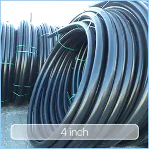 عکس شماره 11019 %D9%84%D9%88%D9%84%D9%87-%D9%BE%D9%84%DB%8C-%D8%A7%D8%AA%DB%8C%D9%84%D9%86