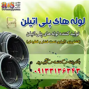 عکس شماره 11890 %D9%84%D9%88%D9%84%D9%87-%D9%BE%D9%84%DB%8C-%D8%A7%D8%AA%DB%8C%D9%84%D9%86-%D9%86%D9%88%D8%A7%D8%B1%D8%AA%DB%8C%D9%BE