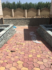 عکس شماره 13000 %D8%B3%D8%A7%D8%B3%D9%88