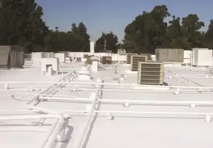 عکس شماره 14432 %D8%B9%D8%A7%DB%8C%D9%82-%D8%B1%D8%B7%D9%88%D8%A8%D8%AA%DB%8C-%D9%BE%D8%A7%DB%8C%DA%A9%D9%85-(-%D8%A7%D9%86%D9%88%D8%A7%D8%B9-%D9%BE%D8%B4%D8%AA-%D8%A8%D8%A7%D9%85%D9%87%D8%A7%DB%8C-%D8%A8%D8%AA%D9%86%DB%8C-%D9%81%D9%84%D8%B2%DB%8C-%DA%AF%D8%A7%D9%84%D9%88%D8%A7%D9%86%DB%8C%D8%B2-%D9%87-%DA%AF%D9%86%D8%A8%D8%AF%DB%8C-%D8%B3%D9%81%D8%A7%D9%84%DB%8C-%D8%AF%DB%8C%D9%88%D8%A7%D8%B1-%D8%AC%D8%A7%D9%86%D8%A8%DB%8C-%D9%88