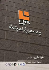 حیف است این ظرافت پوشانده شود تصویر شماره 1