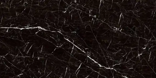 عکس شماره 17461 %D8%B4%DB%8C%DA%A9%D8%A7%DA%AF%D9%88