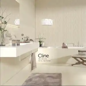 عکس شماره 17487 cline