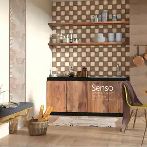 عکس شماره 17512 senso-brown