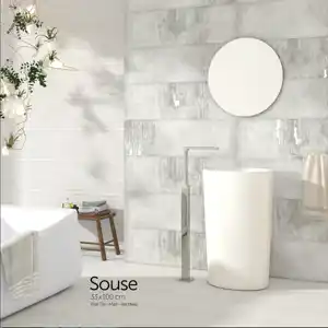 عکس شماره 17516 souse