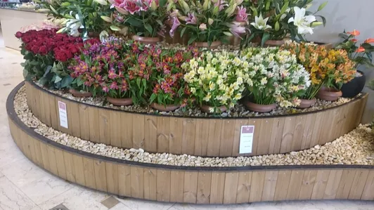 فلاور باکس.گلدان چوبی