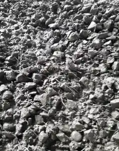 عکس شماره 18394 %D8%A8%D8%AA%D9%86-%D8%A7%D9%84%DB%8C%D8%A7%D9%81%DB%8C