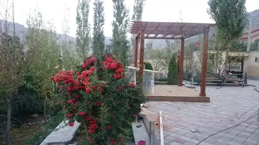 عکس شماره 18554 %D8%AA%D8%B1%D9%85%D9%88%D9%88%D9%88%D8%AF-%D9%81%D9%86%D9%84%D8%A7%D9%86%D8%AF%DB%8C-%D9%BE%D8%B1%DA%AF%D9%88%D9%84%D8%A7