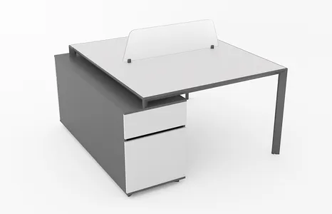 میزکارگروهی مدل W100/2B