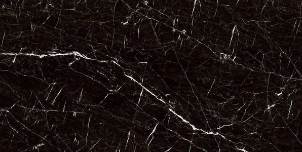 عکس شماره 19627 %D8%B4%DB%8C%DA%A9%D8%A7%DA%AF%D9%88