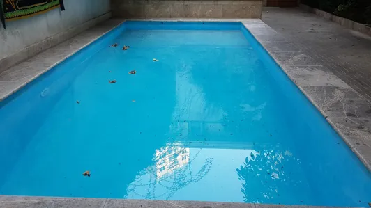 آراکس آبی استخری