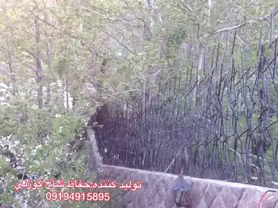 عکس شماره 21121 %D8%AD%D9%81%D8%A7%D8%B8-%D8%B4%D8%A7%D8%AE-%DA%AF%D9%88%D8%B2%D9%86%DB%8C