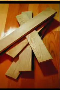 عکس شماره 21531 %D9%BE%D8%A7%D8%B1%DA%A9%D8%AA-%D8%A8%D9%84%D9%88%D8%B7