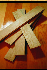 عکس شماره 21541 %D9%BE%D8%A7%D8%B1%DA%A9%D8%AA-%D8%A8%D9%84%D9%88%D8%B7-%D8%A7%D9%84%D9%88%D8%A7%D8%B1%DB%8C