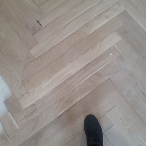 عکس شماره 21542 %D9%BE%D8%A7%D8%B1%DA%A9%D8%AA-%D8%A8%D9%84%D9%88%D8%B7-%D8%A7%D9%84%D9%88%D8%A7%D8%B1%DB%8C