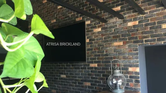 آجر دکوراتیو آتریسا