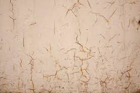 عکس شماره 22203 %D8%A8%D9%87%D8%AA%D8%B1%DB%8C%D9%86-%D9%88-%D8%A8%D8%B1%D8%AA%D8%B1%DB%8C%D9%86-%DA%A9%D8%A7%D9%87%DA%AF%D9%84