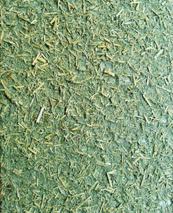 عکس شماره 22205 %D8%A8%D9%87%D8%AA%D8%B1%DB%8C%D9%86-%D9%88-%D8%A8%D8%B1%D8%AA%D8%B1%DB%8C%D9%86-%DA%A9%D8%A7%D9%87%DA%AF%D9%84