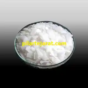 عکس شماره 22403 %D8%A7%DB%8C%D8%B1%D8%A7%D9%BE%D9%88%D9%86-TS