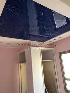 سقف باریسول