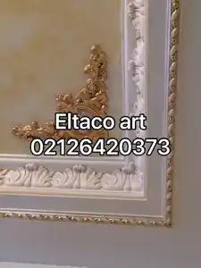 عکس شماره 27822 %D9%BE%D8%AA%DB%8C%D9%86%D9%87-%D8%A8%D8%B1%D8%AC%D8%B3%D8%AA%D9%87