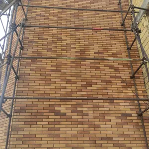 آجرنما نسوز شاموتی گرانیتی 31*7سانتیمتر