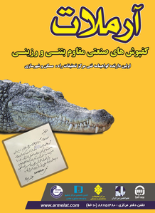 عکس شماره 3238 %DA%A9%D9%81%D9%BE%D9%88%D8%B4-%D8%A8%D8%AA%D9%86%DB%8C-%D8%A2%DA%AF%D9%87%DB%8C-%D8%AF%D8%B1-%D8%B4%D9%85%D8%A7%D8%B1%D9%87-290