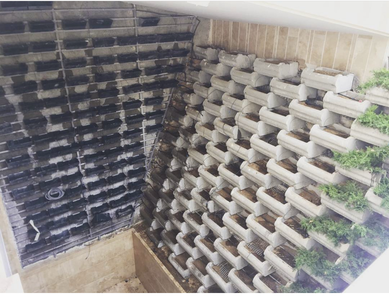 عکس شماره 32510 %D8%AE%D8%B1%DB%8C%D8%AF-%DA%AF%D9%84%D8%AF%D8%A7%D9%86-%D8%A7%D8%AA%D9%88%D8%A8%D8%A7%D9%86%DB%8C-%DA%A9%D8%A7%D8%B1%D8%A7%D8%A8