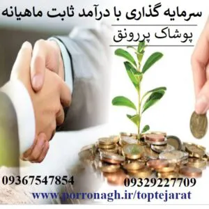 بهترین سرمایه گذاری با سود ماهانه و شراکت در کار پرسود