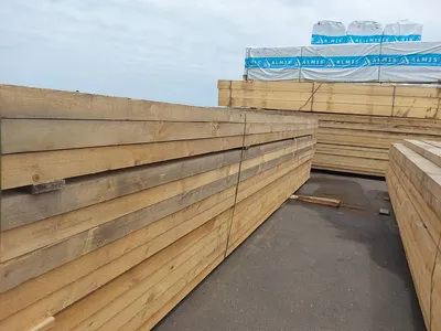 پخش کننده چوب نراد روسی در تمامی ابعاد