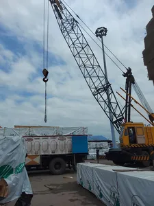 پخش کننده چوب نراد روسی در تمامی ابعاد