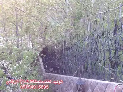 عکس شماره 373 %D8%AD%D9%81%D8%A7%D8%B8-%D8%B4%D8%A7%D8%AE-%DA%AF%D9%88%D8%B2%D9%86%D9%8A