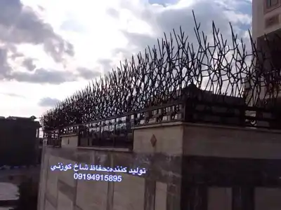 عکس شماره 8504 %D8%AD%D9%81%D8%A7%D8%B8-%D8%B4%D8%A7%D8%AE-%DA%AF%D9%88%D8%B2%D9%86%DB%8C