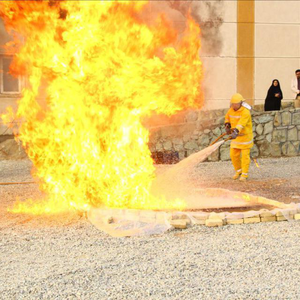 عکس شماره 9128 %D8%AA%D9%88%D9%84%DB%8C%D8%AF-%DA%A9%D9%86%D9%86%D8%AF%D9%87-%D9%85%D8%A7%DB%8C%D9%87-%D9%81%D9%88%D9%85-%D8%A8%D8%AA%D9%86