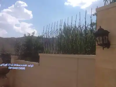 عکس شماره 9447 %D8%AD%D9%81%D8%A7%D8%B8-%D8%B4%D8%A7%D8%AE-%DA%AF%D9%88%D8%B2%D9%86%DB%8C-%D9%88-%D8%AD%D9%81%D8%A7%D8%B8-%D8%B1%D9%88%D8%AF%DB%8C%D9%88%D8%A7%D8%B1%DB%8C